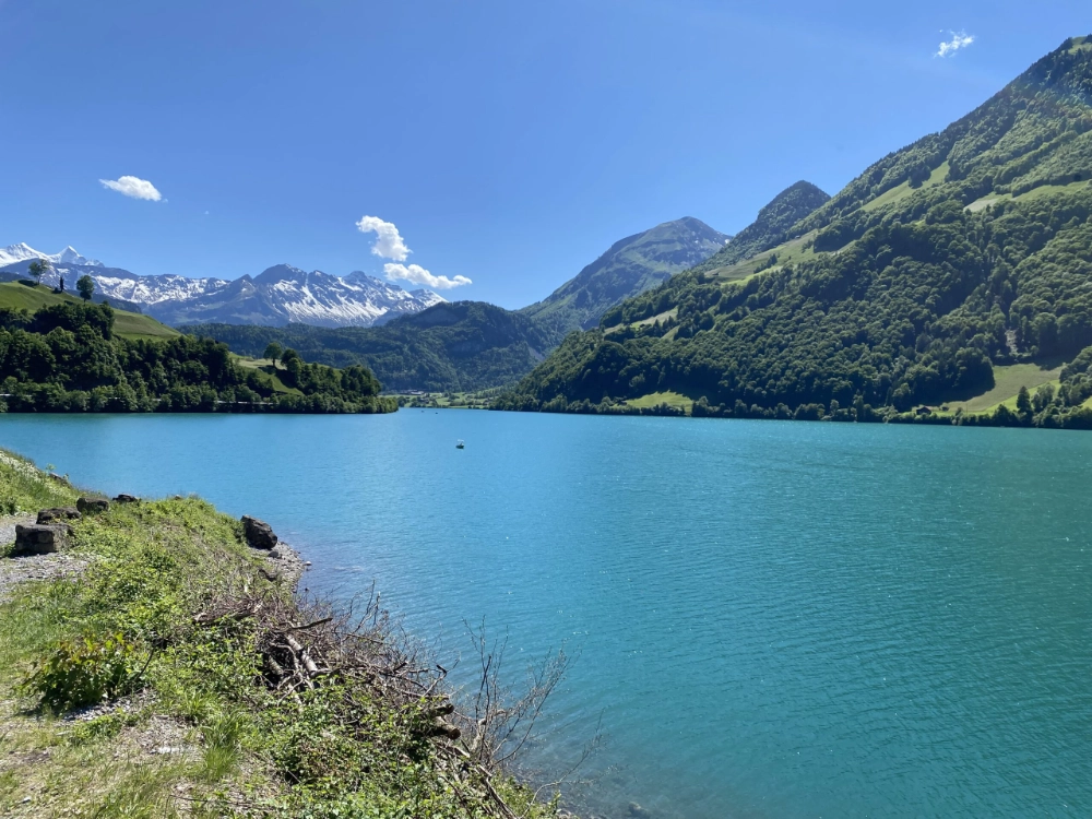 Der Lungerersee mit seinem intensiv türkisblauen Wasser, umgeben von grünen Hügeln und bewaldeten Berghängen, im Hintergrund schneebedeckte Gipfel unter einem klaren blauen Himmel.