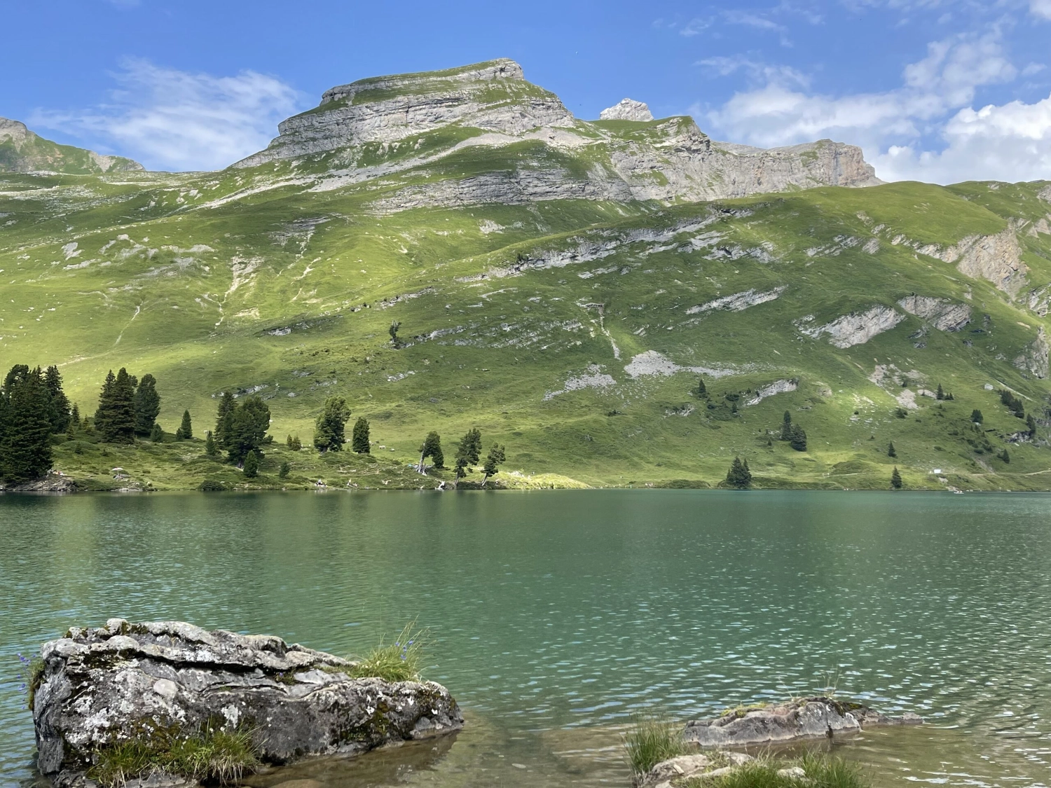 Grüner Bergsee mit sanften Alpwiesen und Felsformationen.