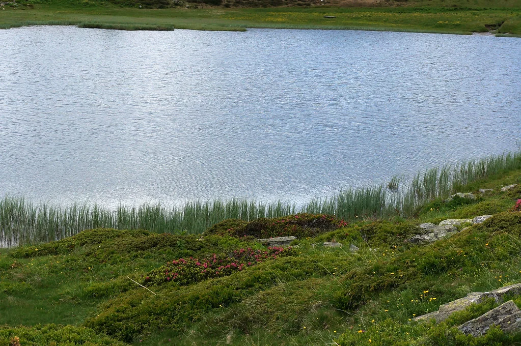 Hopschusee Bergsee mit grüner Ufervegetation und sanften Wellen. Idyllische Landschaft.