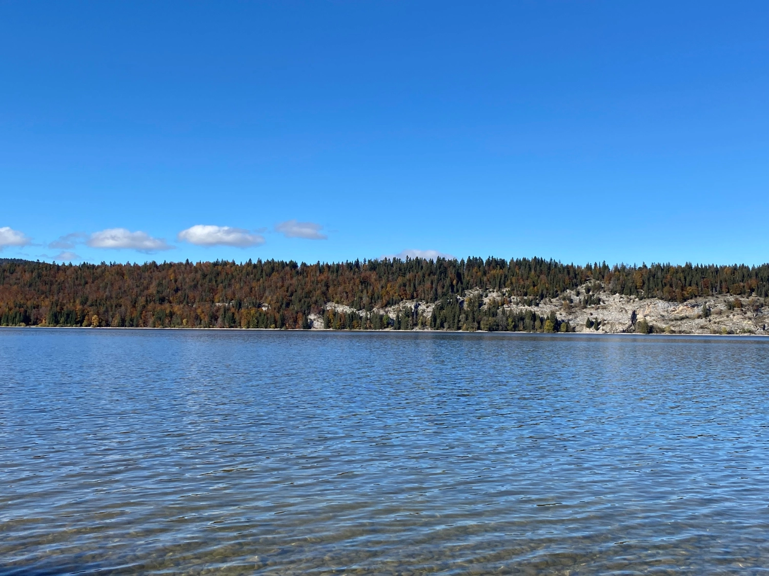 Lac de Joux: Ruhiger See mit bewaldetem Ufer unter blauem Himmel.