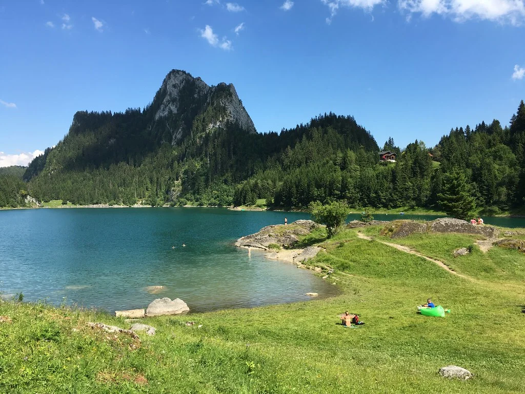 Lac de Tanay: Bergsee mit grüner Wiese und bewaldetem Berg im Hintergrund.
