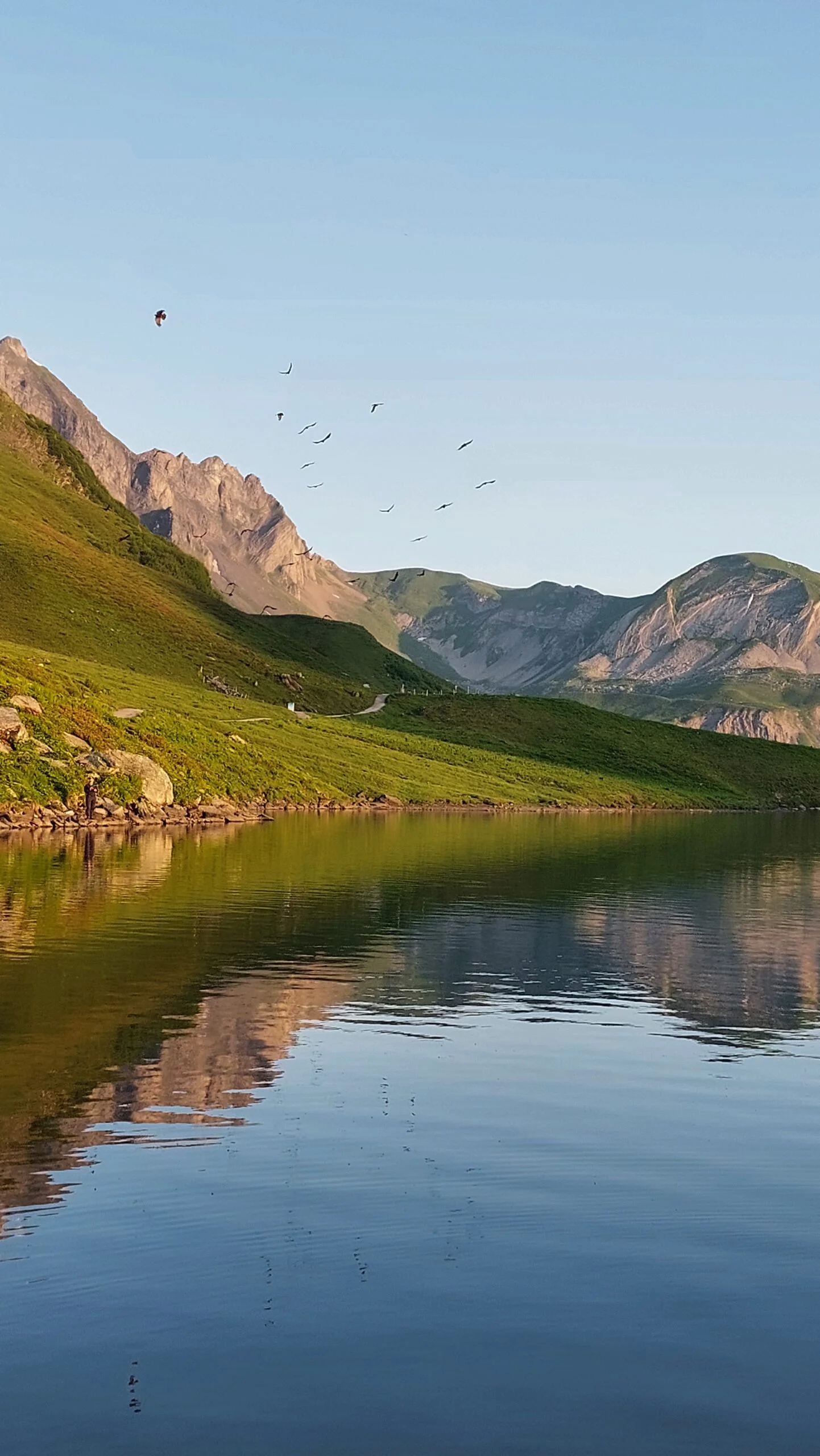 Spiegelung der Berge im Melchsee mit Vogelschwarm am klaren Himmel.