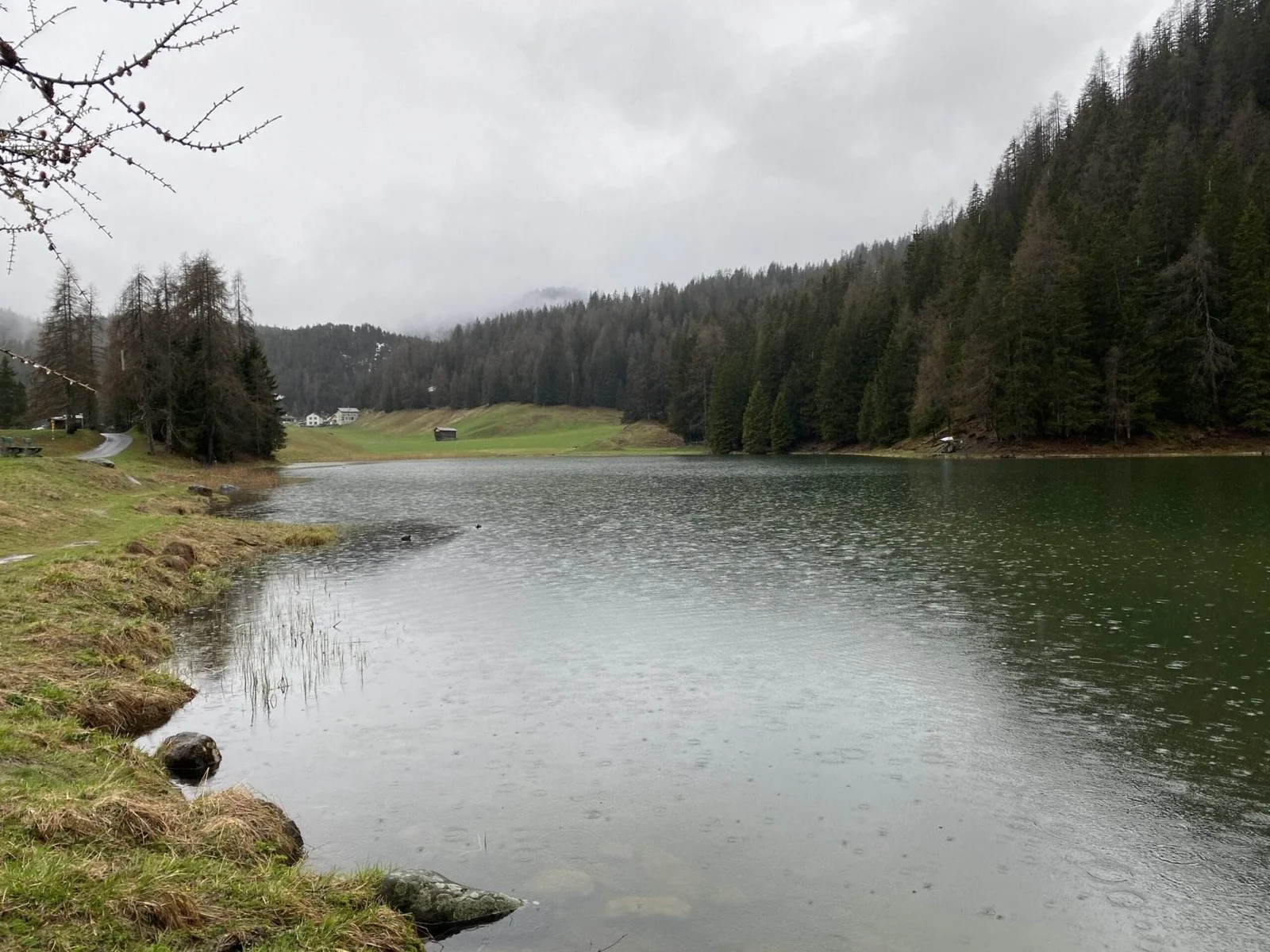Regnerischer Schwarzsee in Davos Laret, umgeben von Wald und Wiesen.