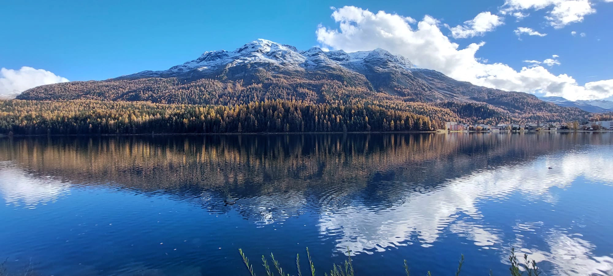 Spiegelung des Berges im St. Moritzersee mit Herbstwald und blauem Himmel.